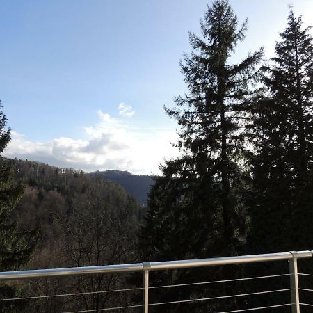 Gite Esperanza Spa Et Sauna Haselbourg 外观 照片